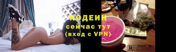 индика Белокуриха