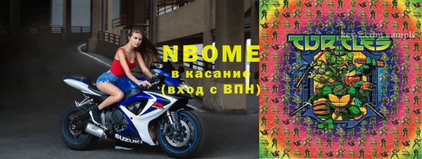индика Белокуриха