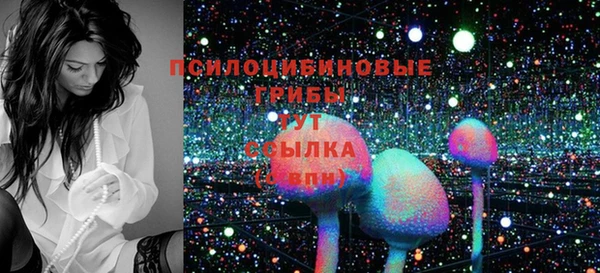индика Белокуриха